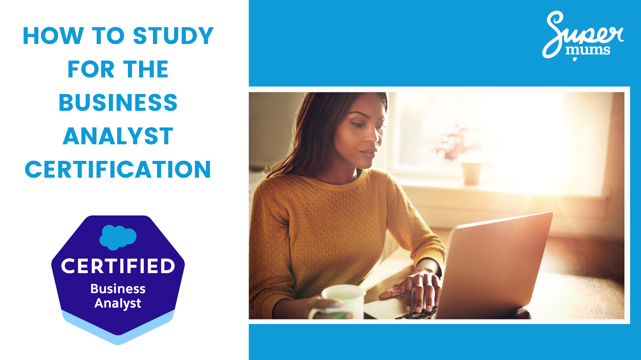 Salesforce Business Analyst Certification
