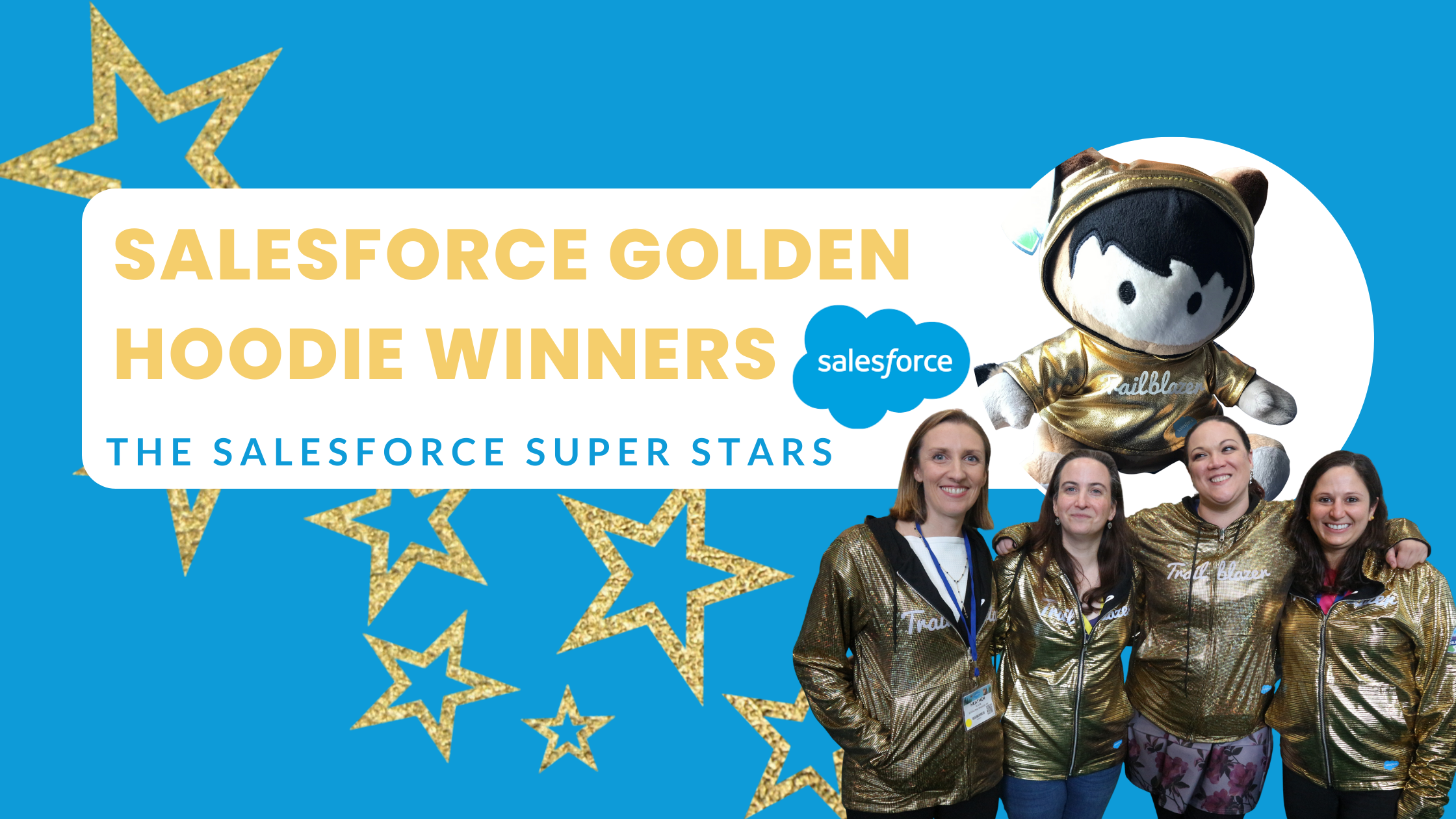 Salesforce Goodie Hoodies